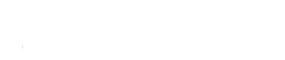 Niedax group kiemelt partnere